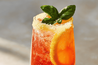Apple Ginger Bitter Spritz