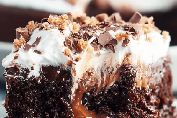 Better Than Anything Chocolate Cake