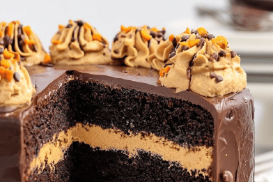 Chocolate Peanut Butter Cake