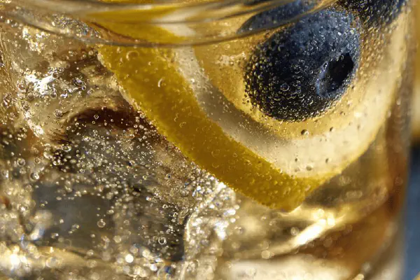 Citrus Vermouth Fizz