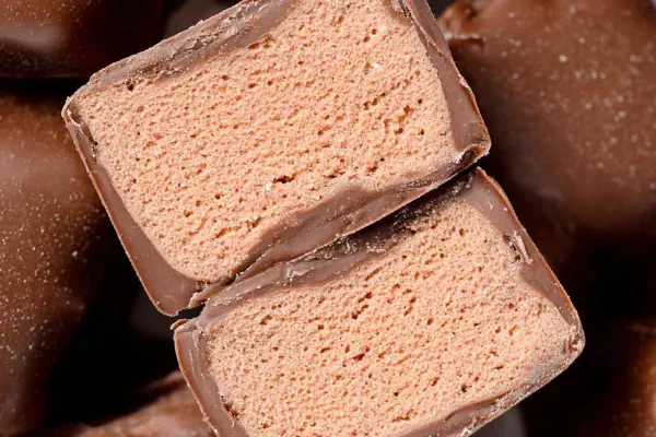 No-Bake Pumpkin Brownie Bites