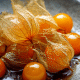 Citrus Concentrate Syrup