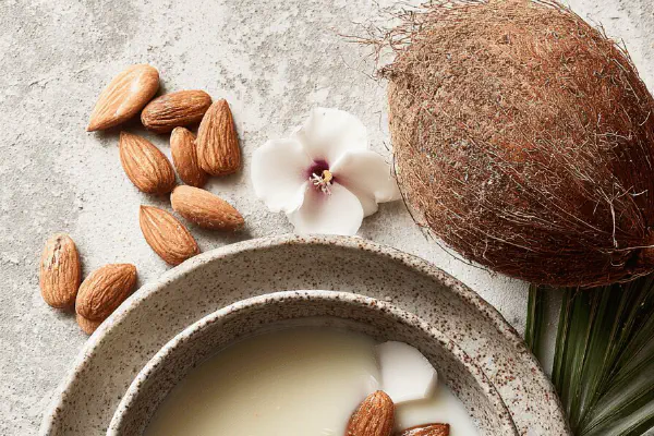 Coconut Macarons Vegan