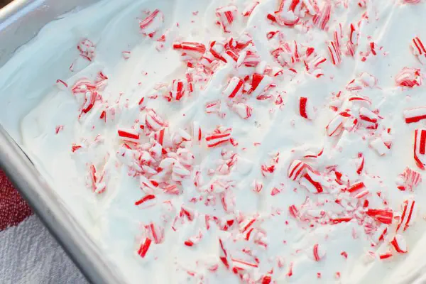 No Churn Peppermint Ice Cream