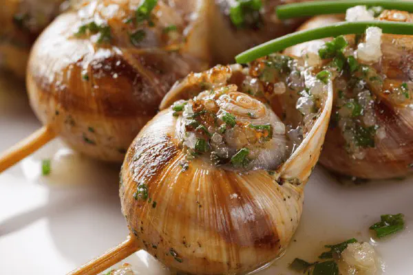 Cognac Foie Gras Pots