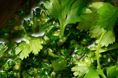 Spicy Cilantro-Pepper Sauce