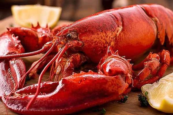 Steamed Lobster Simple