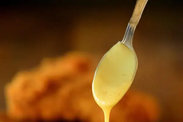 Zesty Honey Mustard Dip